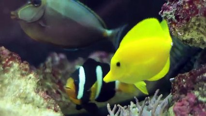 Get to the benefits of Day Spa in Sandton - Spa of Distinction