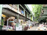Pasar Rawa Belong, Pasar Bunga Terbesar di Asia Tenggara - IMS