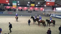 Championnat de France Élite Horse-ball, Saint-Lô