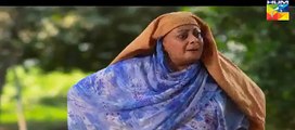 Sammi Episode 2 Full HD HUM TV Drama 5 February 2017