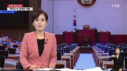 "나경원, 1월 초 합류"..."특정인에 의한 정당 만들지 않아" / YTN (Yes! Top News)