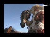Suku Kazakh Menggelar Tradisi Berburu dengan Burung Elang di Cina - NET5