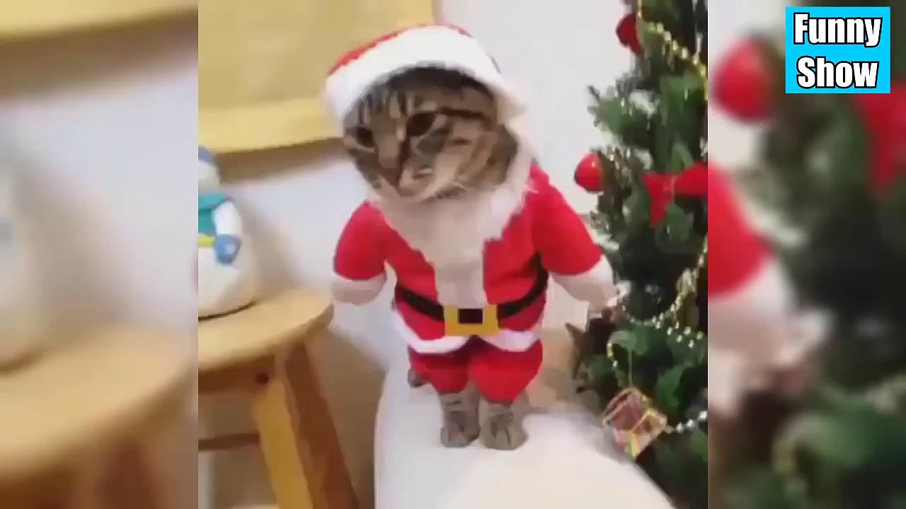 ТЕСТ НА ПСИХИКУ CHALLENGE ЛУЧШИЕ ПРИКОЛЫ 2016 :)