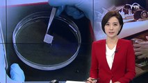 10초 안에 물에 녹는 보안용 메모리 소자 개발 / YTN (Yes! Top News)