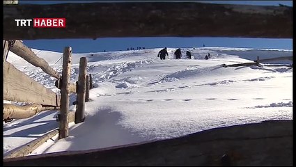 Lazboard kayak şenliği