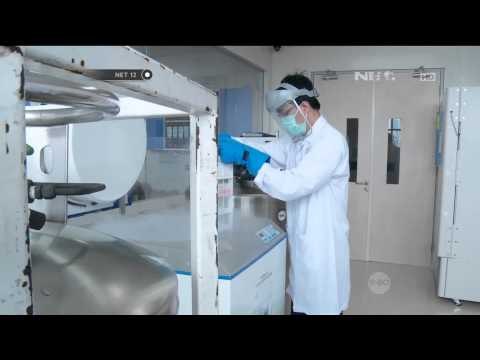 Pengunaan Terapi Sel Punca Sebagai Metode Terapi untuk Beragam Penyakit - NET12