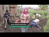 Pesantren Al Thoriq, Pesantren Mandiri Pangan - NET5