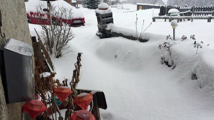 ce matin, dimanche 5 février 2017  à Fontgillarde !