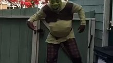 Shrek Lsd