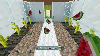 :Minecraft How To: Efficient Mellon farm