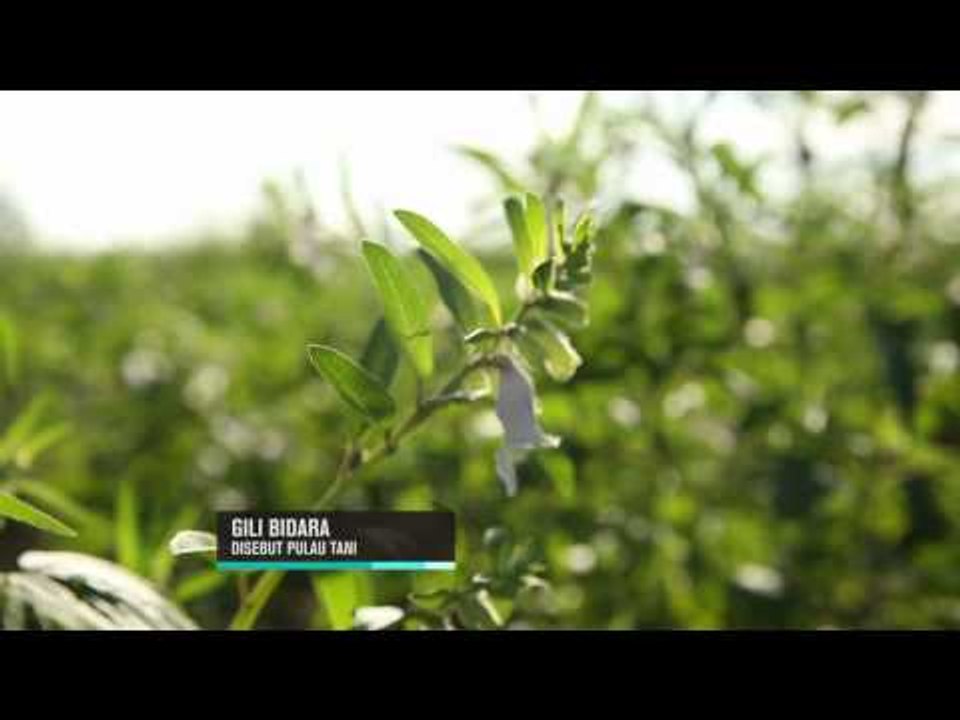 Keindahan Objek Wisata Empat Gili di Pulau Lombok - IMS