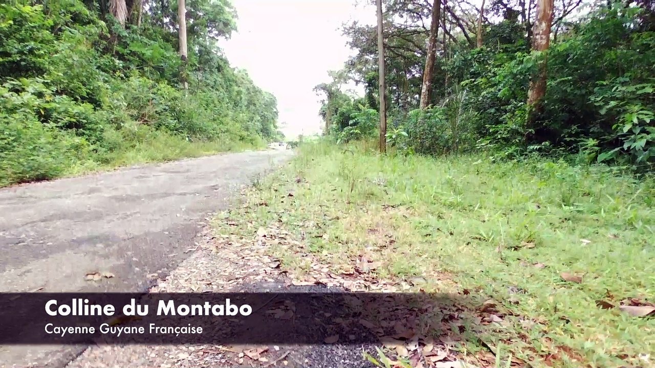 Colline du Montabo
