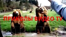 Приколы. Рыбак без удочки