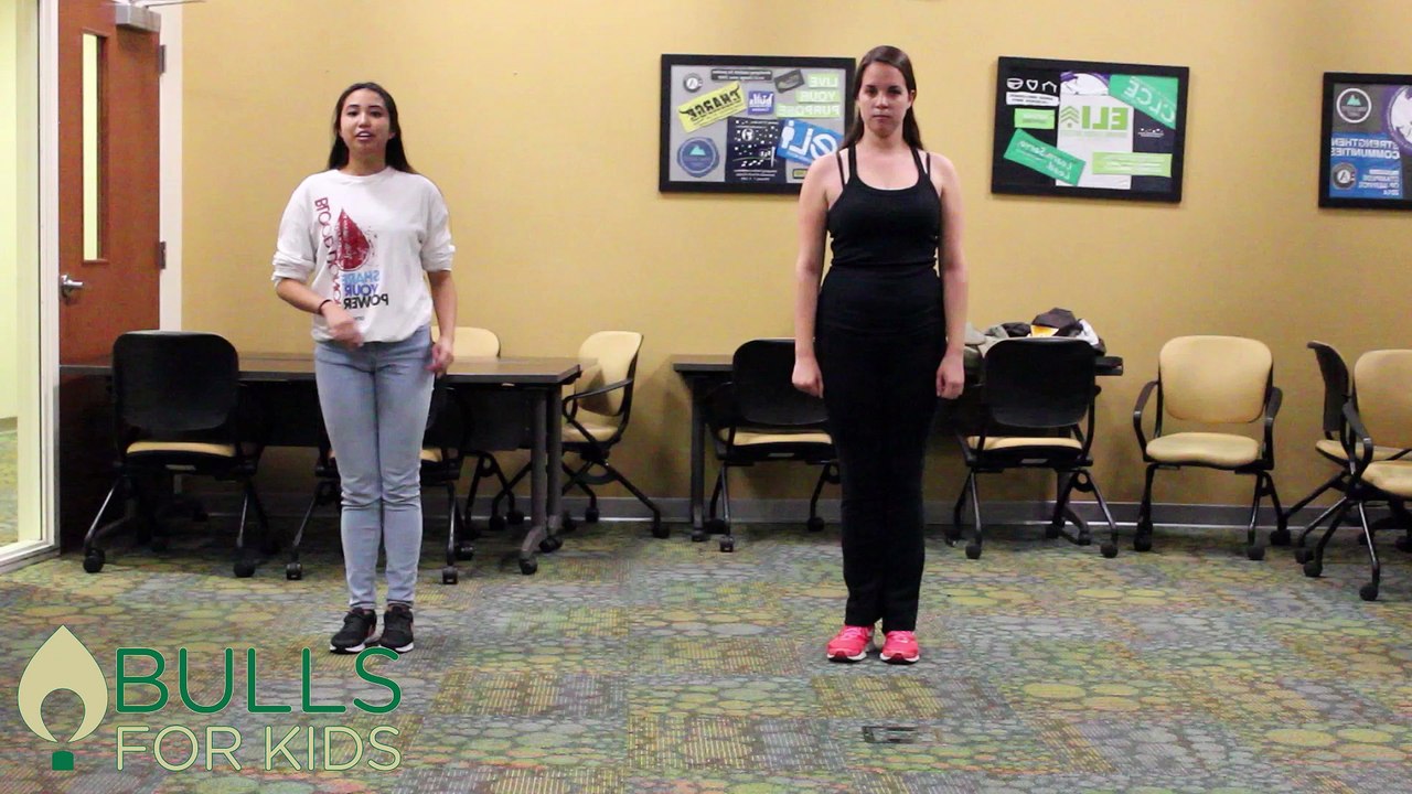 BFK Dance Marathon 2017 Line Dance Tutorial Pt. 2