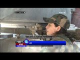 Ketangguhan Tentara Wanita di Suriah - NET12