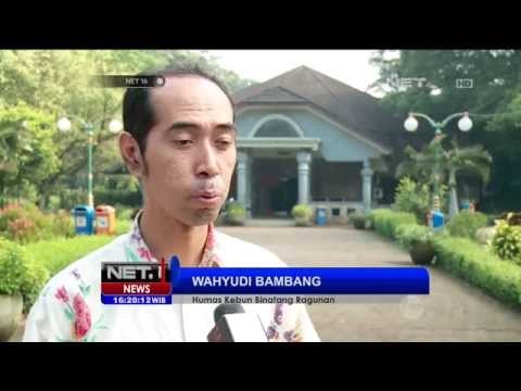 Kebun binatang ragunan dan Planetarium lokasi asik liburan ibukota - NET16