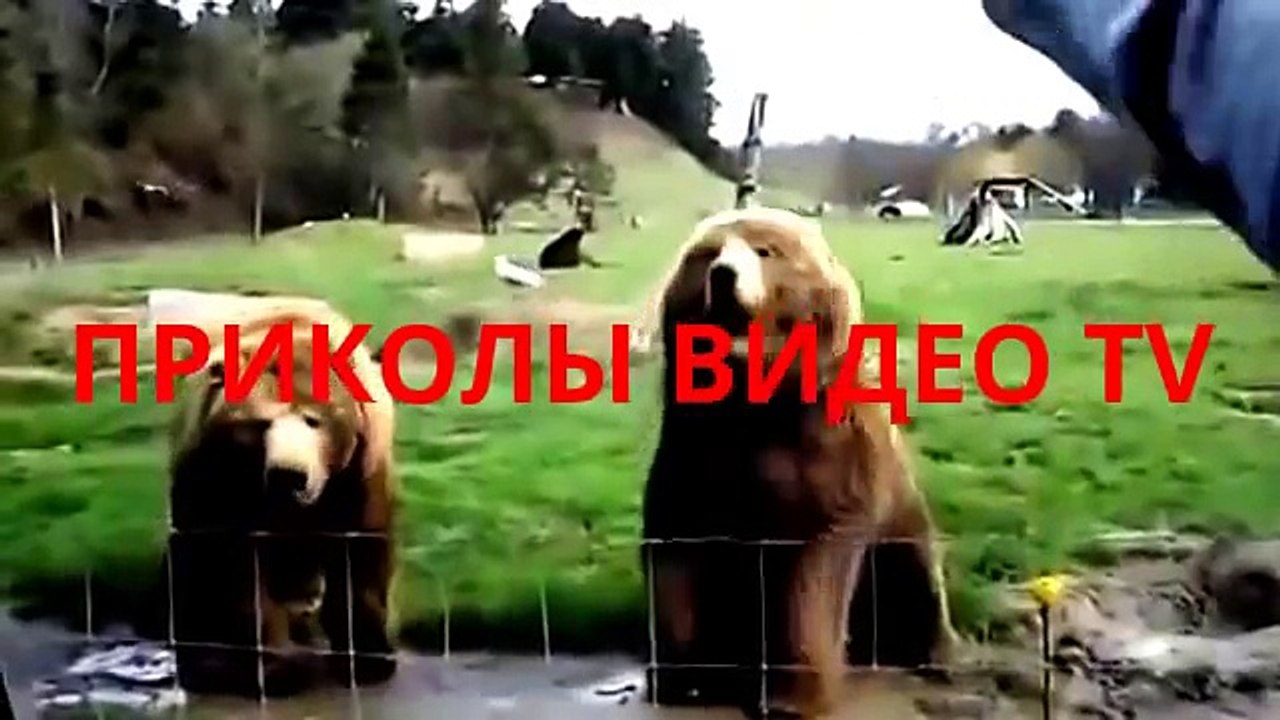 Приколы.Фото на шпалах.