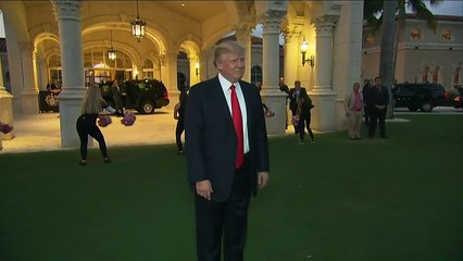 Descargar video: Trump shakes hands with marching band member while she plays the trumpet