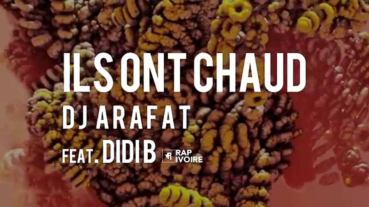 Dj Arafat feat Didi B - ils ont chaud ( Pré-ecoute )