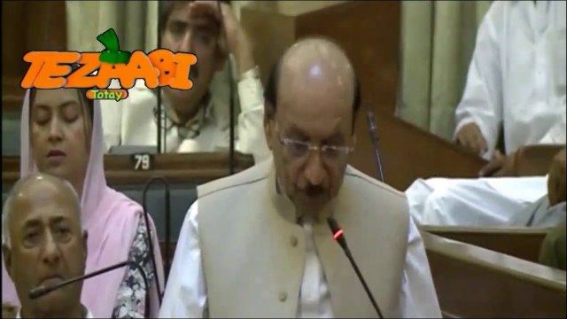 Qaim Ali Shah Assembly Punjabi Totay Funny Tezabi Totay