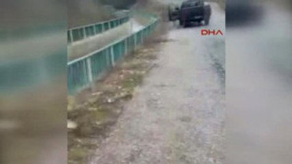 Bartın Su Kanalına Düşen Karaca Ağla Kurtarılıp Doğaya Bırakıldı