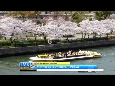 Dubai Miracle Garden, Taman Bunga Terluas di Dunia - IMS