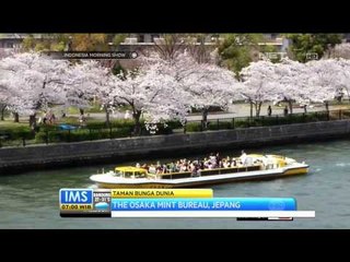 Download Video: Dubai Miracle Garden, Taman Bunga Terluas di Dunia - IMS