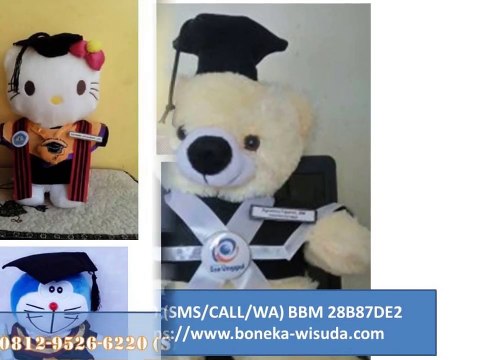 0812-9526-6220 | Boneka Wisuda Medan | Jual Boneka Wisuda Medan | Toko Boneka Wisuda Medan