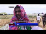 Puluhan Anak Pengungsi Rohingya Tinggalkan Orang Tua untuk Mencari Pekerjaan - NET12