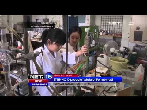 Mahasiswa ITB ciptakan Steinno penghilang noda dari limbah kulit pisang - NET16