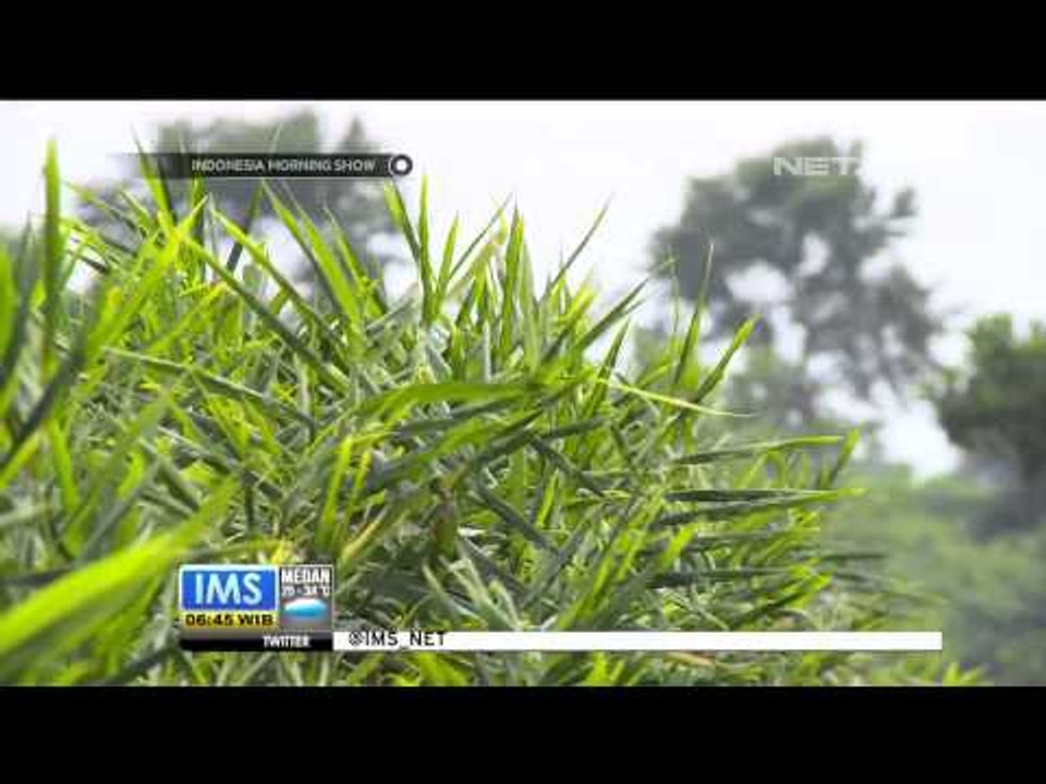 Bisnis bumbu rempah dapur beromzet ratusan juta rupiah - IMS