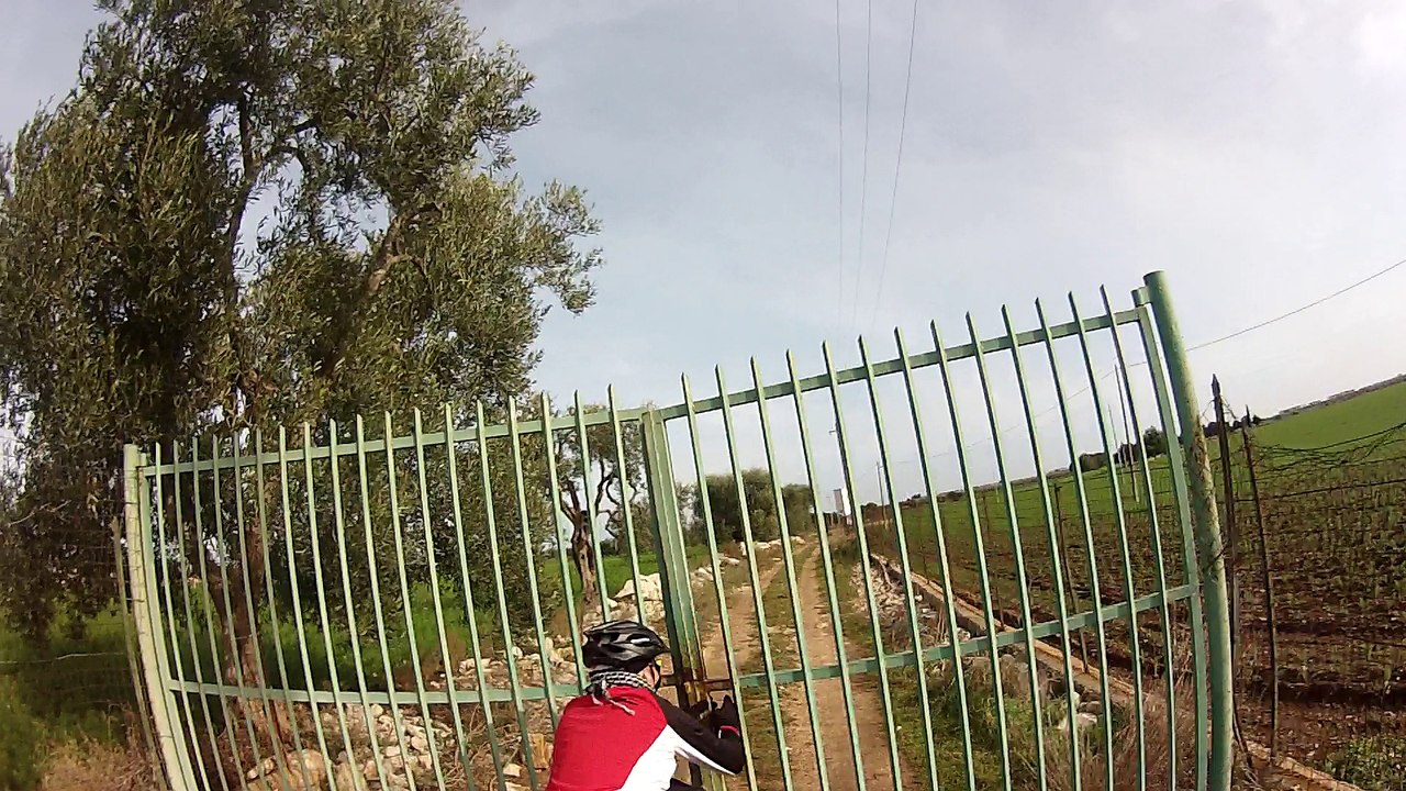 Trayl Mtb (3) del 4.2.2017