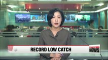 Korean fishermen catch 923,000 tons of fish in 2016, lowest in decades: report