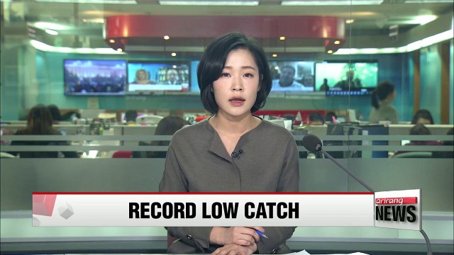 Korean fishermen catch 923,000 tons of fish in 2016, lowest in decades: report