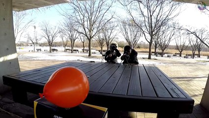 비비탄 저격총 스나이퍼대결! 충격적인 사실ㅋㅋ (똥폼주의) 꿀잼 [ 꾹TV ]-raoh5aRHqEM