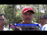 Ribuan warga dan marinir tanam 10 ribu pohon bakau di Pantai Sidoarjo - NET12