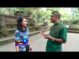 Atraksi Wisata Hutan Monyet Ubud -NET12