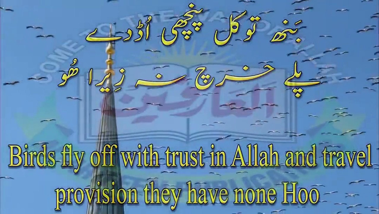 Daal Daleelan Chod Wajudoon, Kalaam Abyat Hazrat Sakhi Sultan Bahoo RA (Iqbal Bahoo)