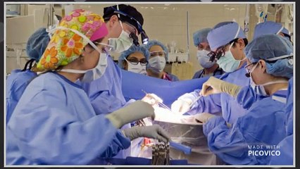 Liver Transplant Cost In India