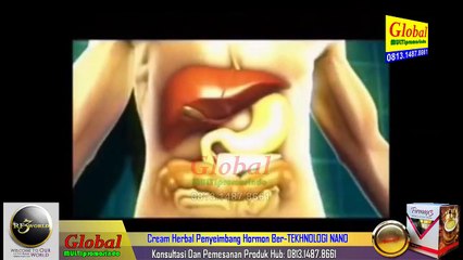 Proses Terjadinya Diabetes - Firmax3