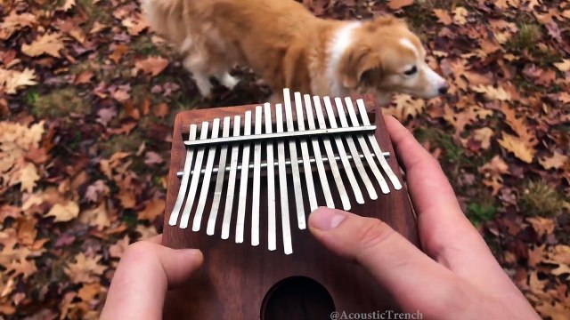 Jouer All the small things sur un petit instrument... Magique - Reprise Blink 182