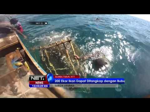 Surga Liburan Keindahan Laut Sumba - NET12