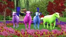 Learning Farm Animals For Children | Learn Domestic Animals For Toddlers | 3D Animation
