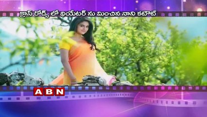 Nani  emotional over Nenu Local Public Response