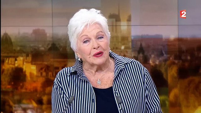 Line Renaud refuse de révéler qu'elle soutient Emmanuel Macron dans le 20h de France 2 - Regardez