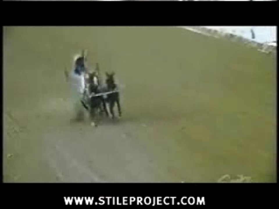 Course de chevaux voltige