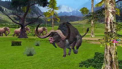 Bull Finger Family Children Nursery Rhymes Kids Animal Songs Family Collection Baby Nursery Rhyme