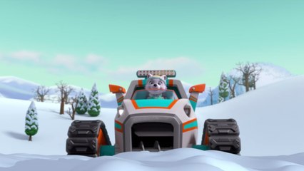 Paw Patrol : La Pat' Patrouille | La neige et la glace | NICKELODEON JUNIOR