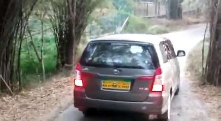 Quand le lion s'intéresse d'un peu trop près à ta voiture pendant un safari.