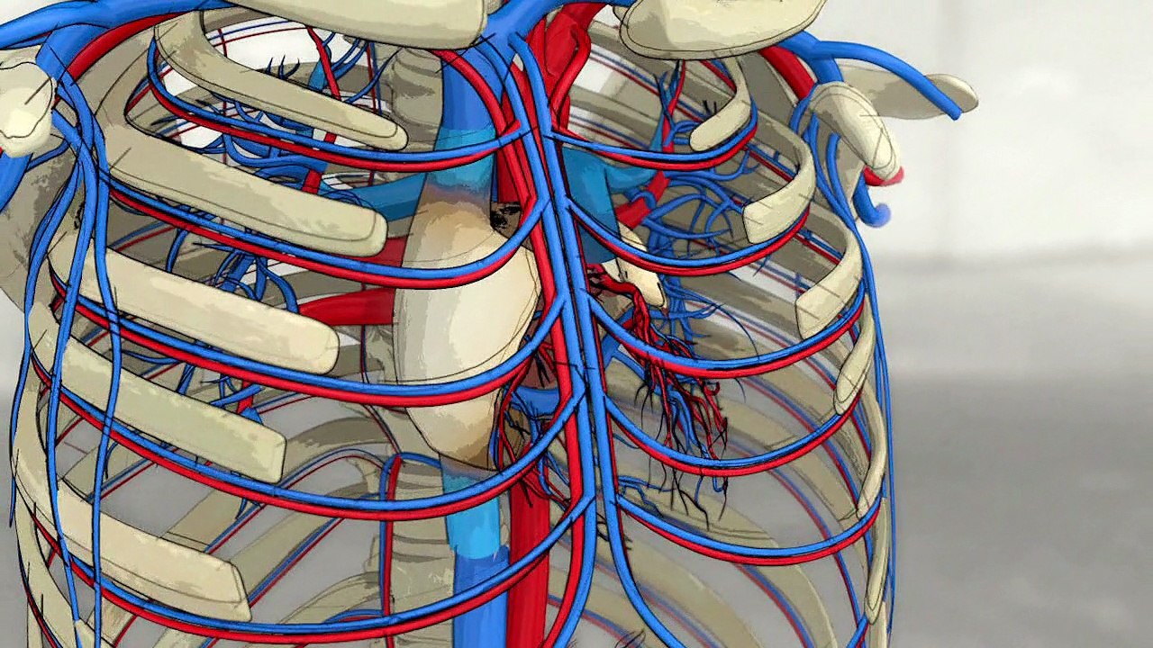 Artificial hearts